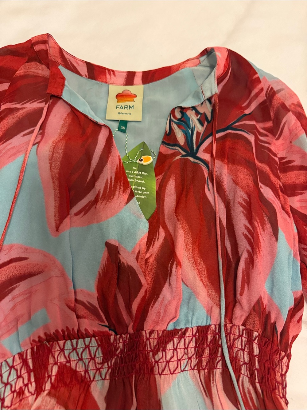 FARM Rio Red & Light Blue Azalea Mini Dress - Picture 6 of 13
